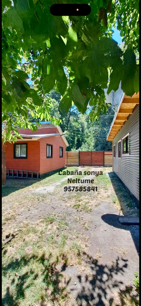 Cabaña 2 alojamiento en Neltume